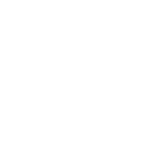 Western Alliance Bank & Amerihome Mortgage dual logo