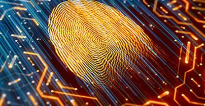 Illustration of a fingerprint on a computer chip