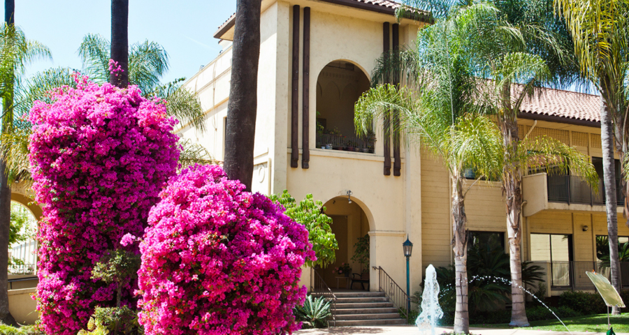 Outside photo of building with outdoor flower garden