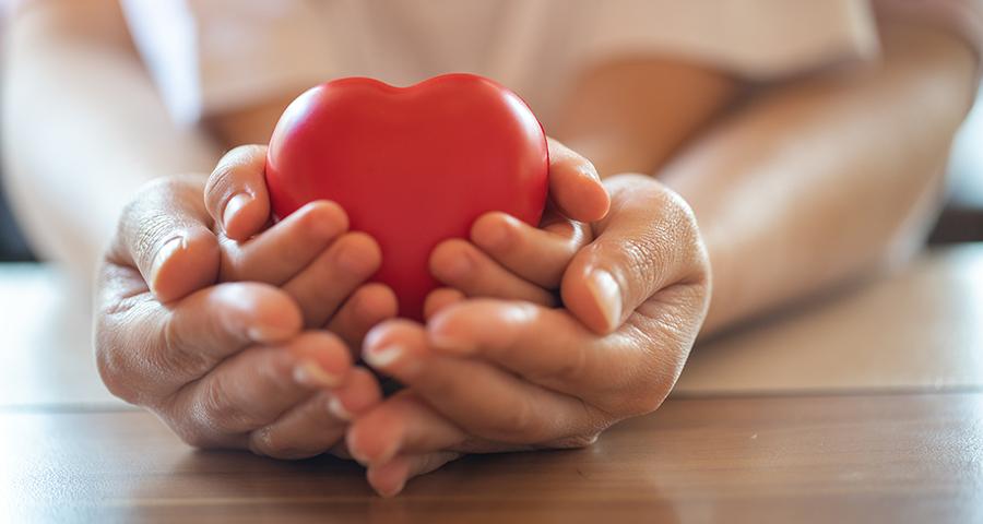 Adult hands supporting a childs hands holding a plastic novelty heart