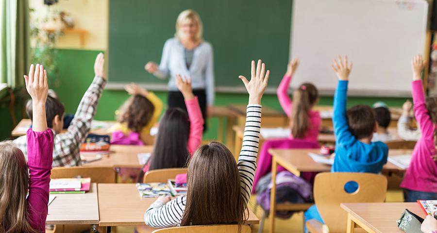 Students raising their hands in the classroom