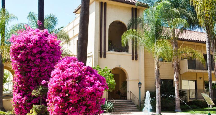 Outside photo of building with outdoor flower garden