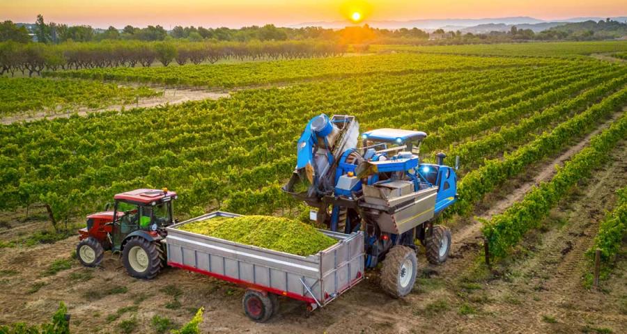Two tractors working on a farm at sunset