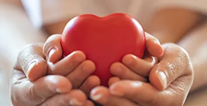 Adult hands supporting a childs hands holding a plastic novelty heart